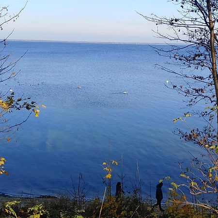 Apartament Delfin Пуцк Екстериор снимка